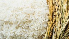 من هي الفئات الممنوعة من تناول الأرز؟