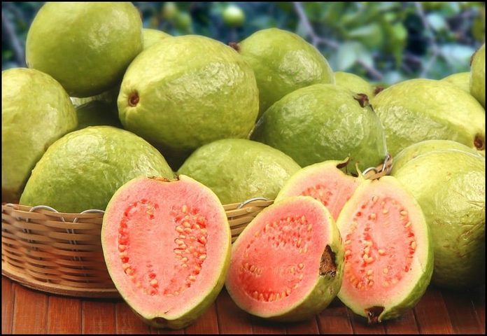 فوائد كبيرة لتناول الجوافة.. أهمها تقوية المناعة