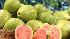 فوائد كبيرة لتناول الجوافة.. أهمها تقوية المناعة