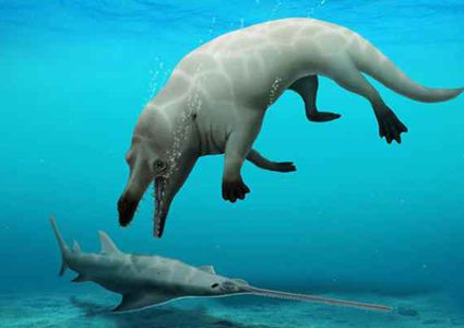 مصر تكتشف "حوتا برمائيا" عاش قبل 43 مليون عام