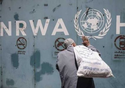 النمسا تقدم مليوني يورو لصالح "الأونروا"