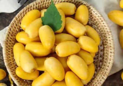 فوائد البلح في تعزيز الصحة