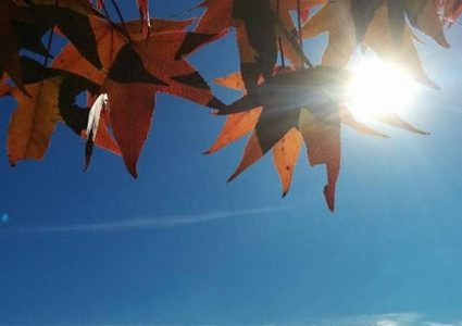 الطقس: أجواء حارة نسبيًا اليوم وارتفاع على درجات الحرارة غدًا