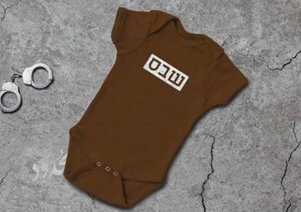 الاحتلال يرجئ البت في طلب اخلاء سبيل الأسيرة الديك بكفالة مالية