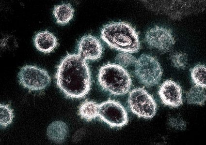 "مو".. متحورة جديدة من كورونا تحت مراقبة الصحة العالمية