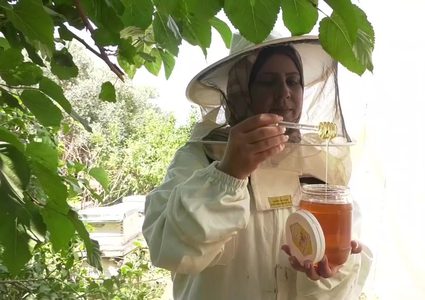 الشابة سمر.. حققت حلمها بإعادة إحياء منحل والدها الشهيد