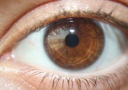 طالب يتحكم بعينه بطريقة تحير العلماء