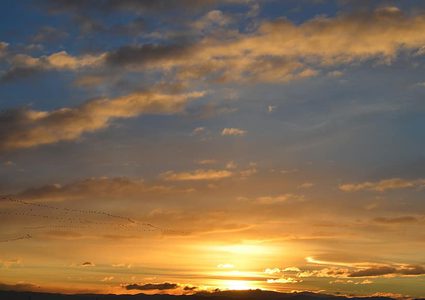 الطقس : أجواء حارة والحرارة أعلى من معدلاتها السنوية