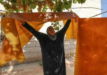 مواطنات يصنعن ملبن العنب ويجففنه فوق أسطح منازلهن