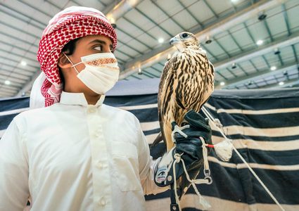 السعودية .. بيع أغلى صقر "جير" في العالم