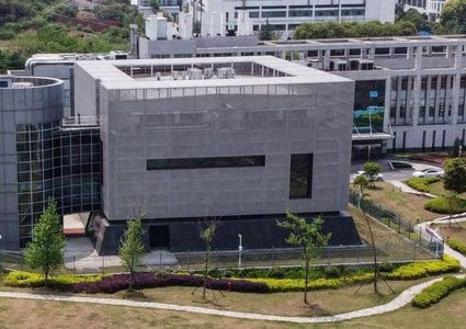 الكشف عن تمويل أمريكي لبحوث عن فايروس كورونا في الصين