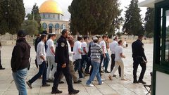 مستوطنون يقتحمون "الأقصى" بحماية قوات الاحتلال
