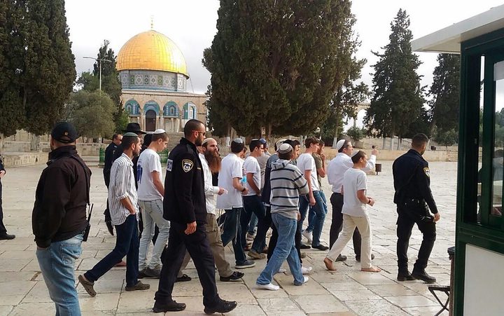 مستوطنون يقتحمون "الأقصى" بحماية قوات الاحتلال