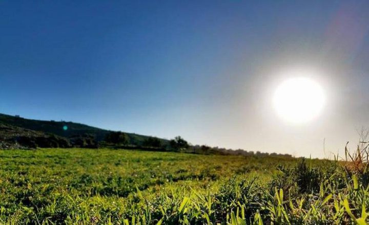 الأرصاد: الحرارة ترتفع 3 درجات مئوية عن معدلها السنوي العام