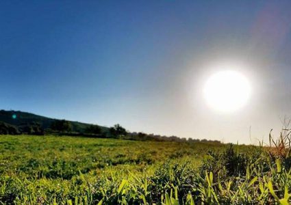 الأرصاد: الحرارة ترتفع 3 درجات مئوية عن معدلها السنوي العام