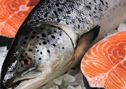 ما هي الفوائد الصحية لتناول سمك السلمون الأطلسي؟