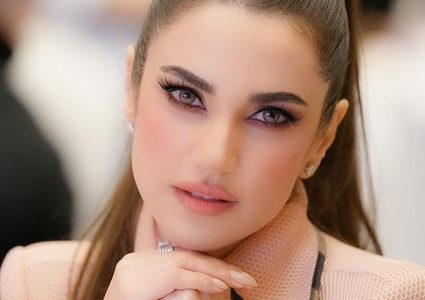 هل تسببت درة في انفصال عمرو دياب عن دينا الشربيني ؟