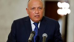 شكري يؤكد ضرورة إحياء مسار تفاوضي "فلسطيني-إسرائيلي"