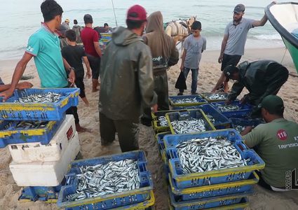 يوم عمل للصيادين على شاطئ دير البلح