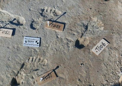 اكتشاف آثار أقدام عمرها 23 ألف سنة في أمريكا