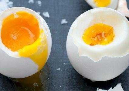 إنعاش حياة جنين دجاجة داخل بيضة مفتوحة بشكل جزئي