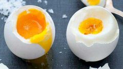 إنعاش حياة جنين دجاجة داخل بيضة مفتوحة بشكل جزئي