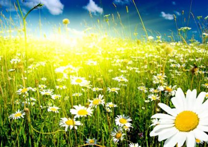 الطقس: درجات الحرارة أقل من معدلها السنوي العام بقليل