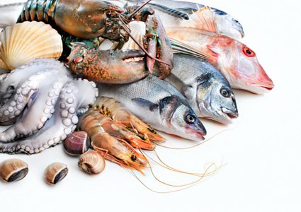 خبير تغذية: تناول الأسماك يحارب اكتئاب فصل الخريف