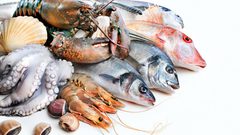 خبير تغذية: تناول الأسماك يحارب اكتئاب فصل الخريف