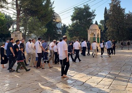 مستوطنون يقتحمون الأقصى وشرطة الاحتلال تعتقل مُصليا