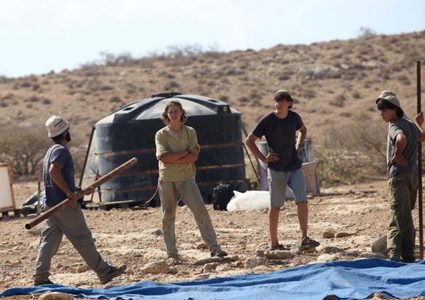 مستوطنون يزرعون أشتال زيتون في أراضي بلدة تقوع تمهيدا لمصادرتها