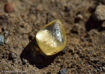 داخل حديقة.. أمريكية تعثر على "حجر" قيمته 15 ألف دولار