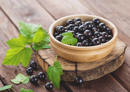 دراسة: الكشمش الأسود يخفف من آلام العضلات