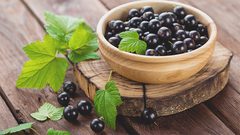 دراسة: الكشمش الأسود يخفف من آلام العضلات