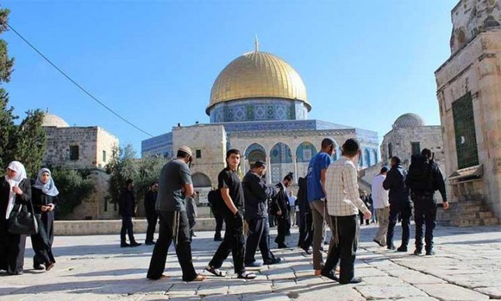 عشرات المستوطنين يقتحمون "الأقصى"