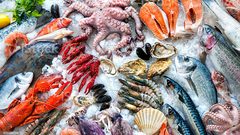 كيف يعالج سمك الماركيل الالتهابات في الجسم ؟