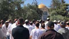 الخارجية المصرية تدين قرار السماح لليهود بالصلاة في المسجد الأقصى