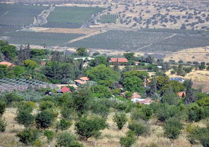 داخلية الاحتلال تعد اقتراحا لإقامة مستوطنات في النقب والجولان