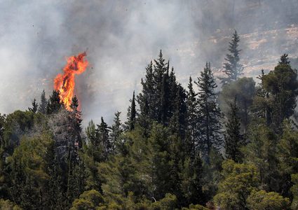 عدة طائرات و 19 فريق إطفاء يواصلون إخماد النيران في جبال القدس
