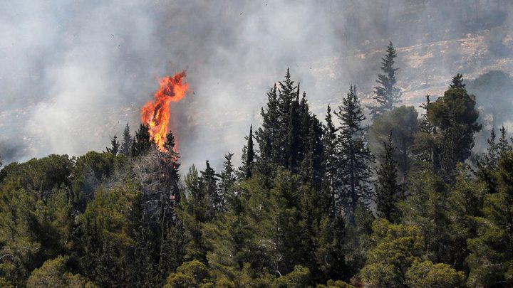 عدة طائرات و 19 فريق إطفاء يواصلون إخماد النيران في جبال القدس