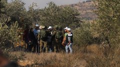 مستوطنون يعتدون على مزارعين في قرية كفر ثلث أثناء قطافهم الزيتون