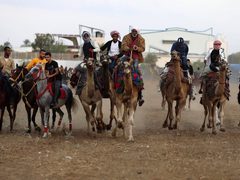 سباق بين الخيول والجِمال في مدينة غزة
