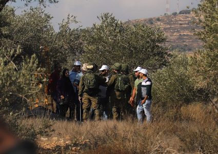 مستوطنون يهاجمون قاطفي ثمار الزيتون شرق نابلس