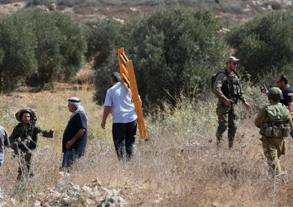 الاحتلال يعتدي على المشاركين في يوم تطوعي لقطف الزيتون في سلفيت