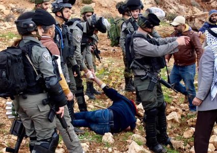 هيئة الاستيطان تنتزع قرارا بإيقاف عمل الاحتلال بأراض استولى عليها