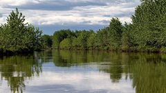 تطوير طريقة لصناعة البطاريات من مياه المستنقعات