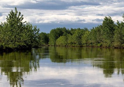 تطوير طريقة لصناعة البطاريات من مياه المستنقعات