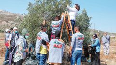 انطلاق الحملة الوطنية "فزعة" لدعم صمود المزارعين في دورا الخليل