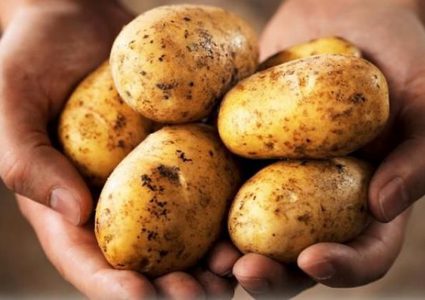 بضائع اسرائيلية فاسدة تضرب أسواق فلسطين