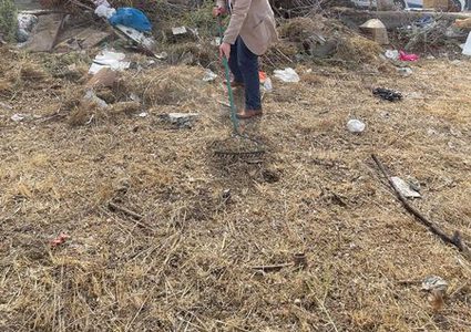 أسرة جامعة النجاح الوطنية تنظم اليوم عملا تطوعيا حول الجامعة بمشاركة  اسرة النجاح من موظفين وطلبة